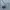 nautica utility cargo nylon short pants photo 5