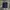 Adidas biglogo elin chealsea woven running short pants photo 1