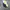 NIKE KYRIE FLYTRAP 3 EP BLACK VOLT SECOND 44  photo 5