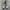 Adidas City Marathon Grey White photo 5