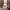 Millet Outerwear Kids brown black photo 7