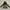 Millet Outerwear Kids brown black photo 1