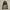 Millet Outerwear Kids brown black photo 3