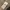Millet Outerwear Kids brown black photo 8