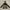 Millet Outerwear Kids Brown Black