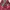 Adidas Outerwear Kids pink black photo 6
