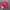 Vintage Streetwear Hat Pria red photo 1