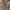 Vintage Y2K Windbreaker Pria tan brown photo 3