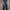 Celana Jeans Dsquared Ripped Blue photo 2