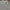 Crewneck College Carhartt Grey Original photo 1