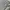 Nike Vintage Y2K Sweatshirt Pria gray photo 4