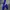 Celana Training Jogger Pants Adidas x descente Vintage photo 1