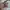 Vtg HamBurglar 1995 Toys photo 2