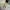 Vtg 1998 Burger King Toys photo 2