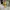 Vtg 1998 Burger King Toys photo 1