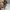 Vtg Spectra Strangger 1996 Toy photo 3