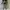 Vtg Spectra Strangger 1996 Toy photo 5