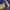 NFL VIKING  photo 5