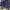 NFL VIKING  photo 4