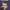 NFL VIKING  photo 6