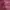 Hoodie Lacoste Maroon  photo 2