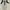 Luxry Ethnic photo 8