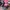 Stroller Merk Spacebaby photo 1