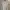 Hugo Boss X Porsche Original Luxury Brand Full Tag