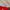 Vintage formula one Team Panasonic Toyota photo 5