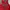 SLAM DUNK Hanamichi Sakuragi Jersey photo 3