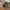 Nike Air Jordan 1 low Voodoo photo 2