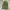 Billonaire Boys Club Space Helmet Balaclava