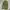 Billonaire boys club space helmet balaclava photo 3