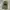 Billonaire boys club space helmet balaclava photo 4