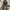 Massimo dutti kemeja photo 6
