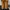 Timberland sherpa photo 4