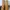 Timberland sherpa photo 1