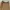 EGALE KHAKI RIBBON HIGH WAIST PANTS BIG SIZE CELANA PANJANG photo 5