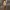 EGALE KHAKI RIBBON HIGH WAIST PANTS BIG SIZE CELANA PANJANG photo 4
