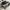 Vans Sepatu Pria Bue white photo 2