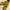 Adidas Shanghai Series Kuning photo 1