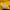 Adidas Shanghai Series Kuning photo 4
