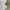 Umbro Vintage Sportswear Jersey Pria white photo 5