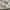 Umbro Vintage Sportswear Jersey Pria white photo 7