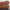 Timberland icon, yellow boots photo 6