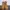 Timberland icon, yellow boots photo 3