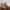 Timberland icon, yellow boots photo 4