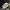 Streetwear Sportswear Track jacket Pria white black photo 5