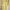 Dress kaos sesame street photo 1