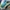 Converse Indie Casual Sneakers Pria white green photo 7